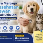 Cara Menjaga Kesehatan Hewan Sejak Usia Dini