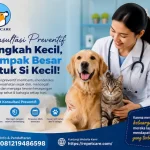 Dokter Hewan Menjelaskan Manfaat Konsultasi Preventif