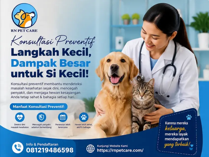 Dokter Hewan Menjelaskan Manfaat Konsultasi Preventif