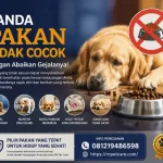 Tanda Pakan Tidak Cocok