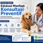Dokter Hewan Edukasi Manfaat Konsultasi Preventif