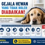 Gejala Hewan yang Tidak Boleh Diabaikan