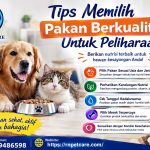 Tips Memilih Pakan Berkualitas Untuk Peliharaan