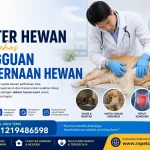dokter hewan membahas gangguan pencernaan hewan