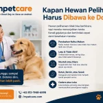 Kapan Hewan Peliharaan Harus Dibawa ke Dokter?