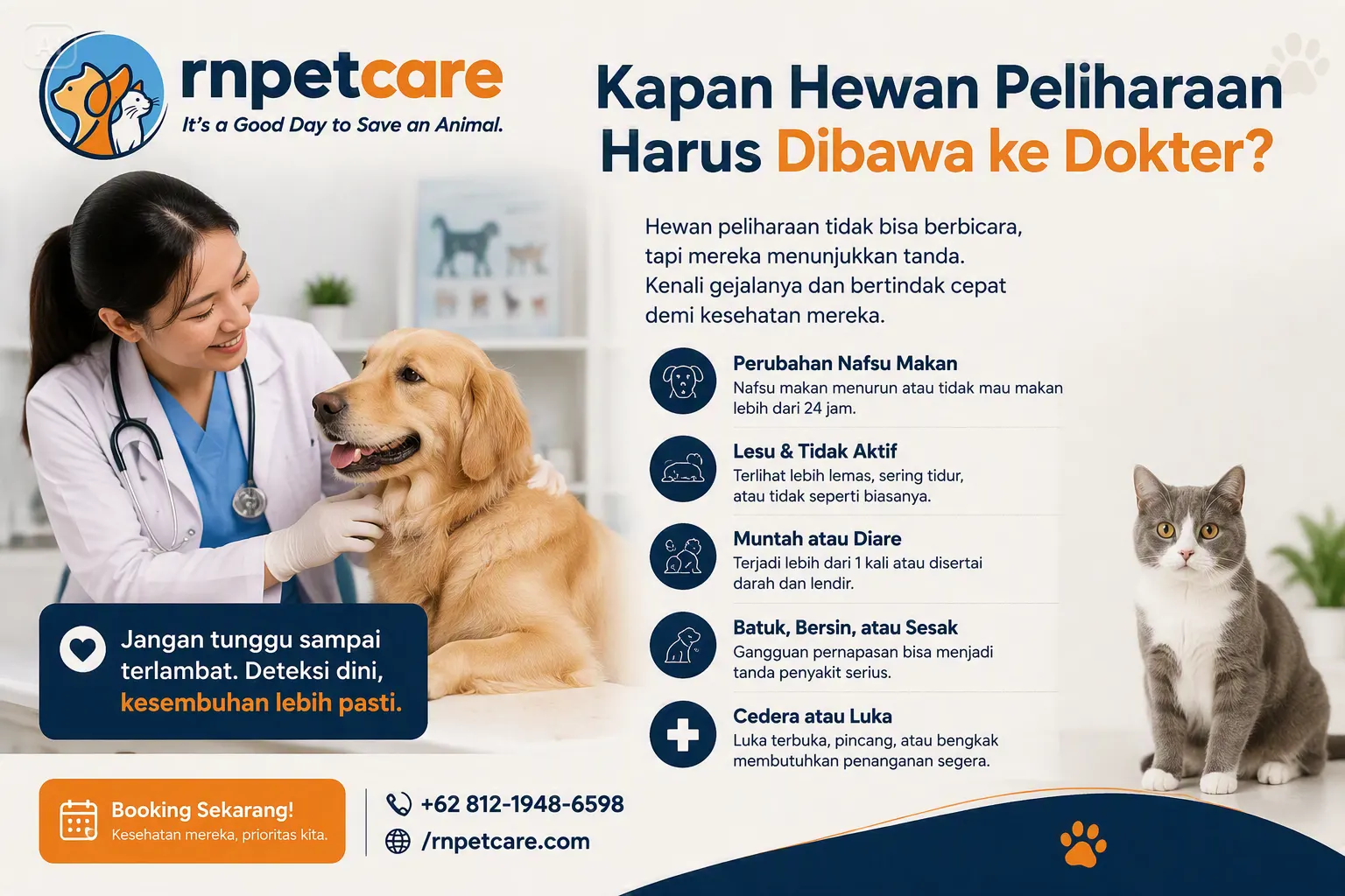 Kapan Hewan Peliharaan Harus Dibawa ke Dokter?