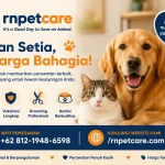 Manfaat Rawat Inap untuk Hewan yang Sedang Sakit