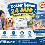 Dokter Hewan 24 Jam Siaga Ciputat Timur