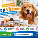 Menyediakan Obat Vitamin Untuk Hewan Peliharaan