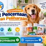 Menyediakan Obat Pencernaan Hewan Peliharaan