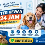 Dokter Hewan 24 Jam Sekitar Babakan