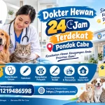 Dokter Hewan 24 Jam Terdekat Pondok Cabe