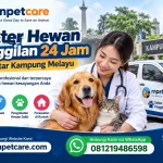 Dokter Hewan Panggilan 24 Jam sekitar Kampung Melayu