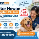 Dokter Hewan Panggilan 24 Jam sekitar Bidara Cina