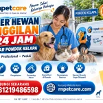 Dokter Hewan Panggilan 24 Jam sekitar Pondok Kelapa
