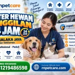 Dokter Hewan Panggilan 24 Jam sekitar Malaka Jaya