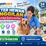 Dokter Hewan Panggilan 24 Jam sekitar Kayu Putih