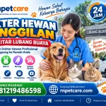 Dokter Hewan Panggilan 24 Jam sekitar Lubang Buaya