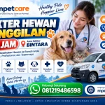 Dokter Hewan Panggilan 24 Jam sekitar Bintara