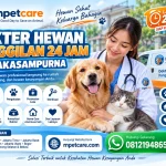 Dokter Hewan Panggilan 24 Jam sekitar Jakasampurna