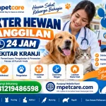 Dokter Hewan Panggilan 24 Jam sekitar Kranji
