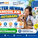 Dokter Hewan Panggilan 24 Jam sekitar Kotabaru