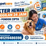 Dokter Hewan Panggilan 24 Jam sekitar Pondok Cipta