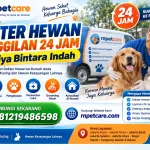 Dokter Hewan Panggilan 24 Jam Griya Bintara Indah