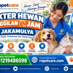 Dokter Hewan Panggilan 24 Jam Jakamulya