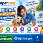 Dokter Hewan Panggilan 24 Jam Pekayonjaya