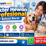Dokter Hewan Profesional Bekasi Barat