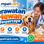 Rnpetcare Perawatan Hewan Terpercaya