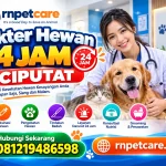 Dokter Hewan 24 jam Ciputat