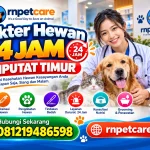 Dokter Hewan 24 jam Ciputat Timur
