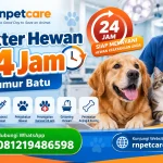 Dokter Hewan 24 jam Sumur Batu