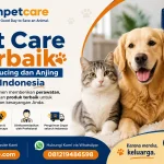 Pet Care Terbaik untuk Kucing dan Anjing di Indonesia