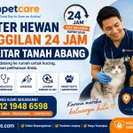Dokter Hewan Panggilan 24 Jam Sekitar Tanah Abang