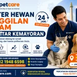 Dokter Hewan Panggilan 24 Jam Sekitar Kemayoran
