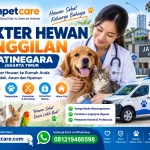 Dokter Hewan Panggilan 24 Jam sekitar Jatinegara