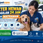 Dokter Hewan Panggilan 24 Jam sekitar Matraman