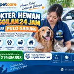 Dokter Hewan Panggilan 24 Jam sekitar Pulo Gadung