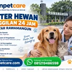 Dokter Hewan Panggilan 24 Jam sekitar Rawamangun