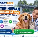 Dokter Hewan Panggilan 24 Jam sekitar Pisangan Timur