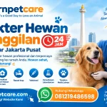 Dokter Hewan Panggilan 24 Jam sekitar Jakarta Pusat