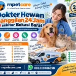 Dokter Hewan Panggilan 24 Jam sekitar Bekasi Barat