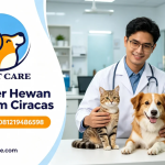 Dokter Hewan 24 jam Ciracas