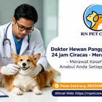 Dokter Hewan Panggilan 24 jam Ciracas