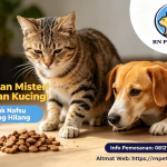 Mengapa Kucing Peliharaan Tidak Nafsu Makan