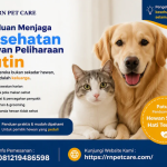 Panduan Menjaga Kesehatan Hewan Peliharaan Rutin