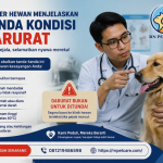Dokter Hewan Menjelaskan Tanda Kondisi Darurat